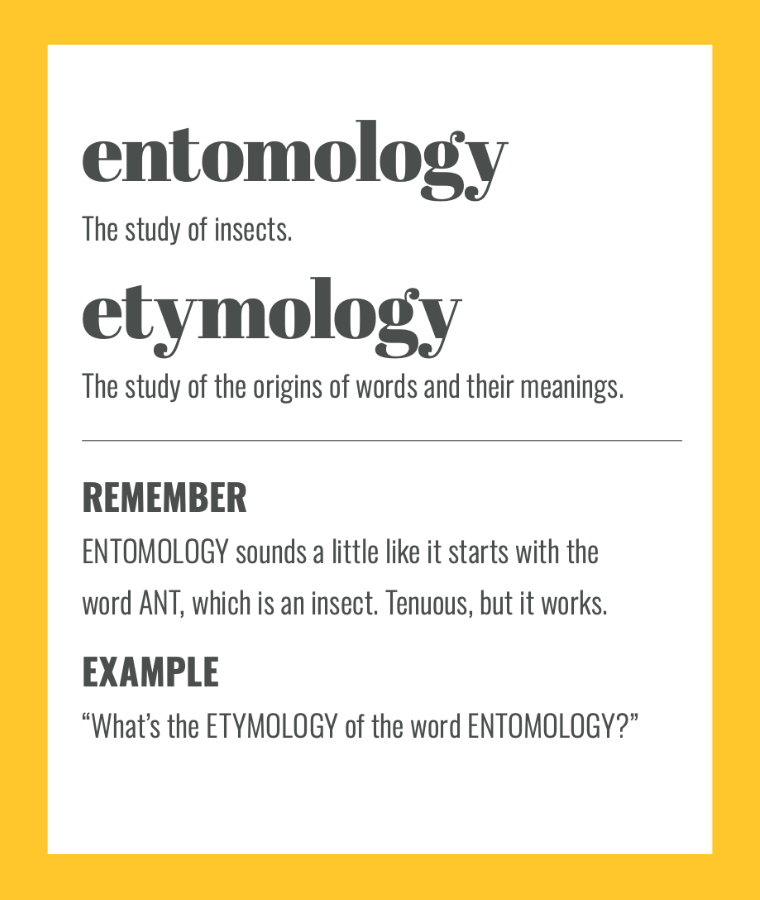 Confusables: ETYMOLOGY vs ENTOMOLOGY. Simple spelling tips to remember the difference, from The Little Book of Confusables
